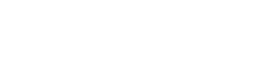 logo portrAIt profilazione psicometrica white